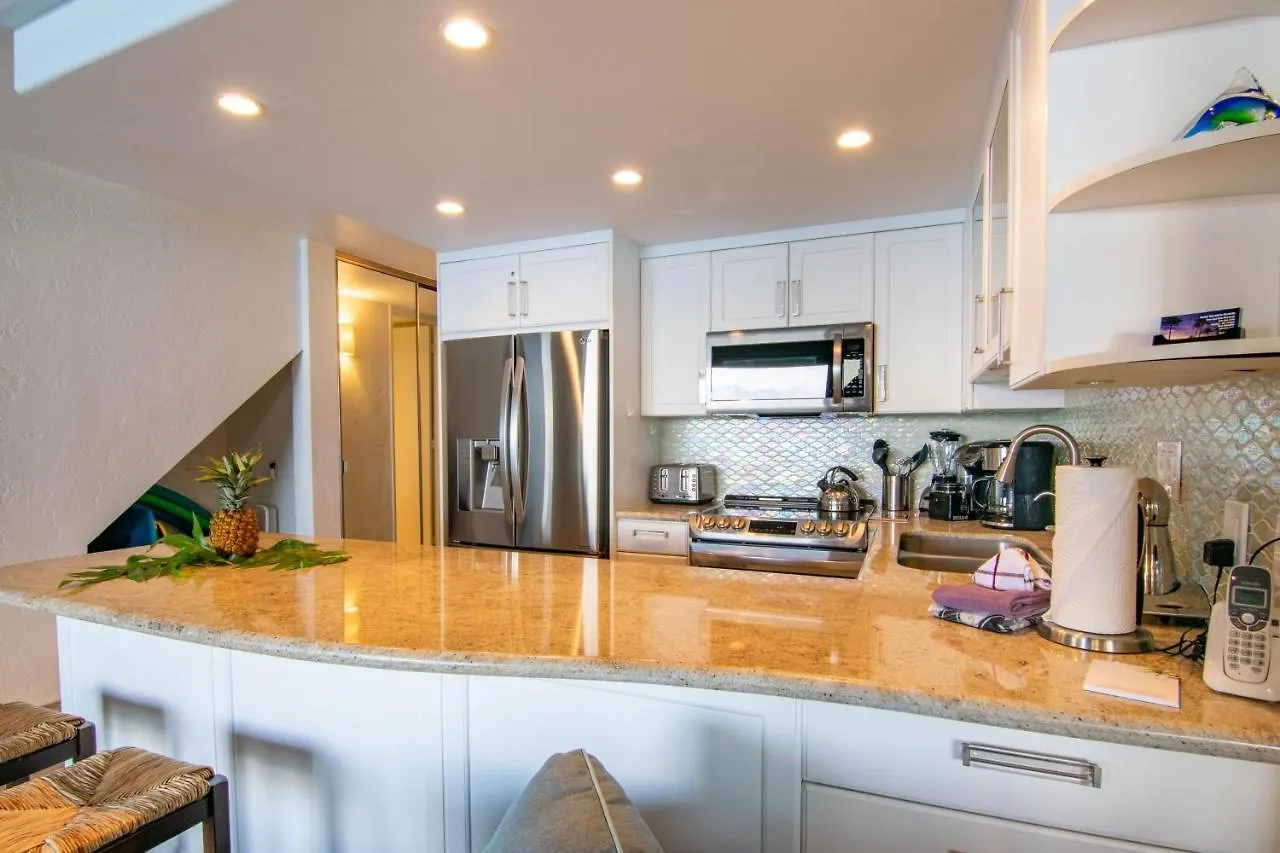 Papakea A-404 Villa Kahana Holiday home
